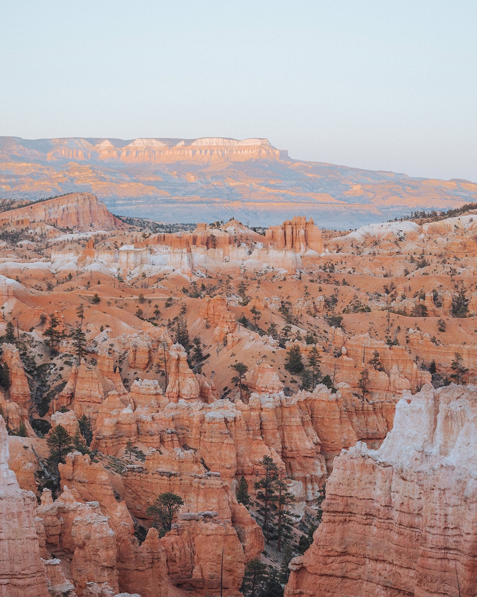 A valley filled with pastel coloured hoodoos. 