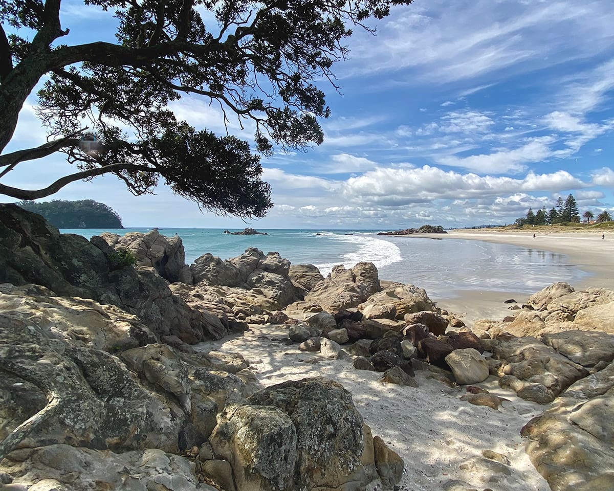 A serene beach scene with a foreground of rugged rocks and a gnarled tree framing the view.