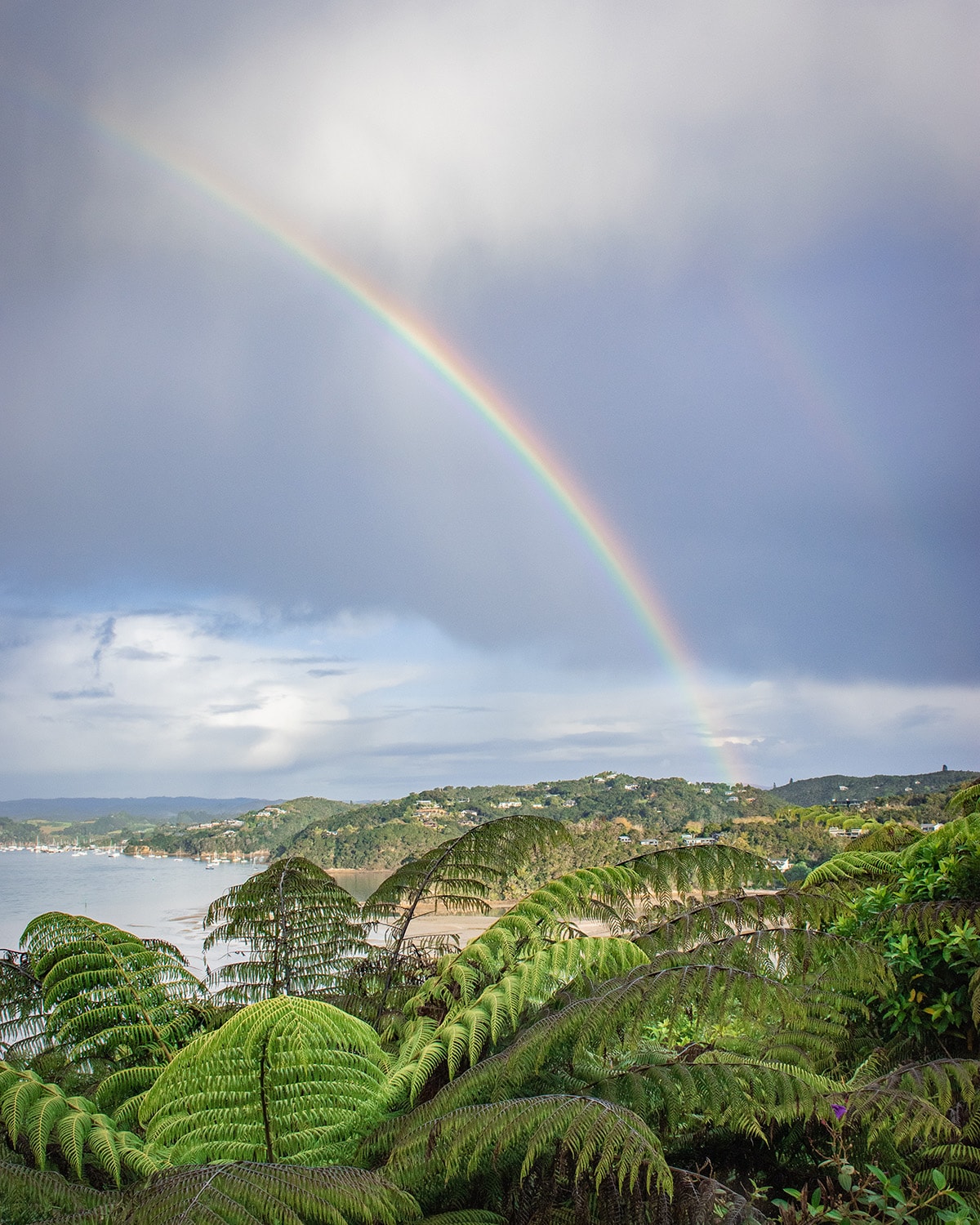 A vibrant double rainbow arcs over the lush greenery of ferns in the foreground, with the serene waters of the Bay of Islands in the distance. The natural beauty of the bay is highlighted by the contrast between the bright rainbow and the moody sky.