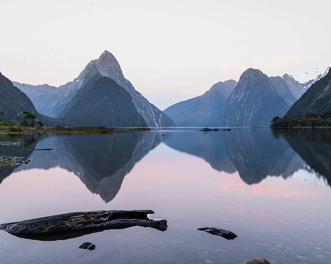 A tranquil evening at Milford Sound with a sharp mountain peak reflecting in the still waters, accompanied by a driftwood piece on the shore. Milford Sound is one of the best places to go camping on the South Island.