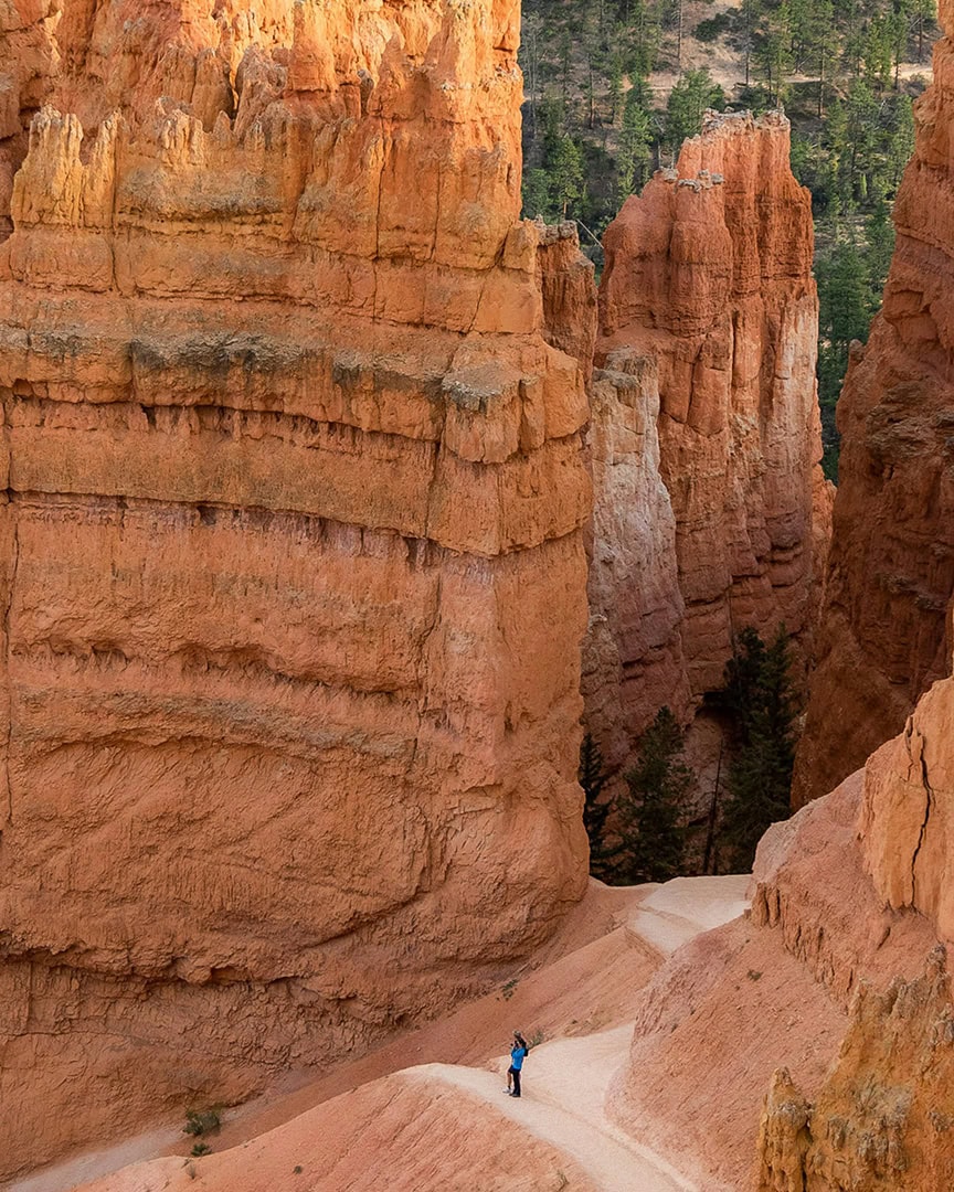 A person in a blue jacket walks along a narrow trail, dwarfed by towering red rock walls. 
