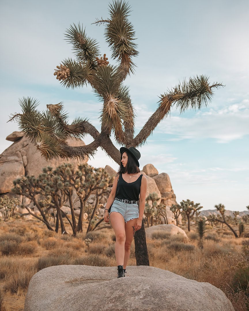 A woman standing on a rock in front of a tall Joshua tree, surrounded by dry desert vegetation and boulders.