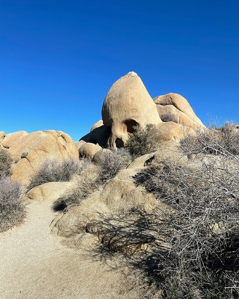 A natural rock formation resembling a skull, surrounded by desert shrubs and a bright blue sky. A stop in a one day Joshua Tree itinerary.