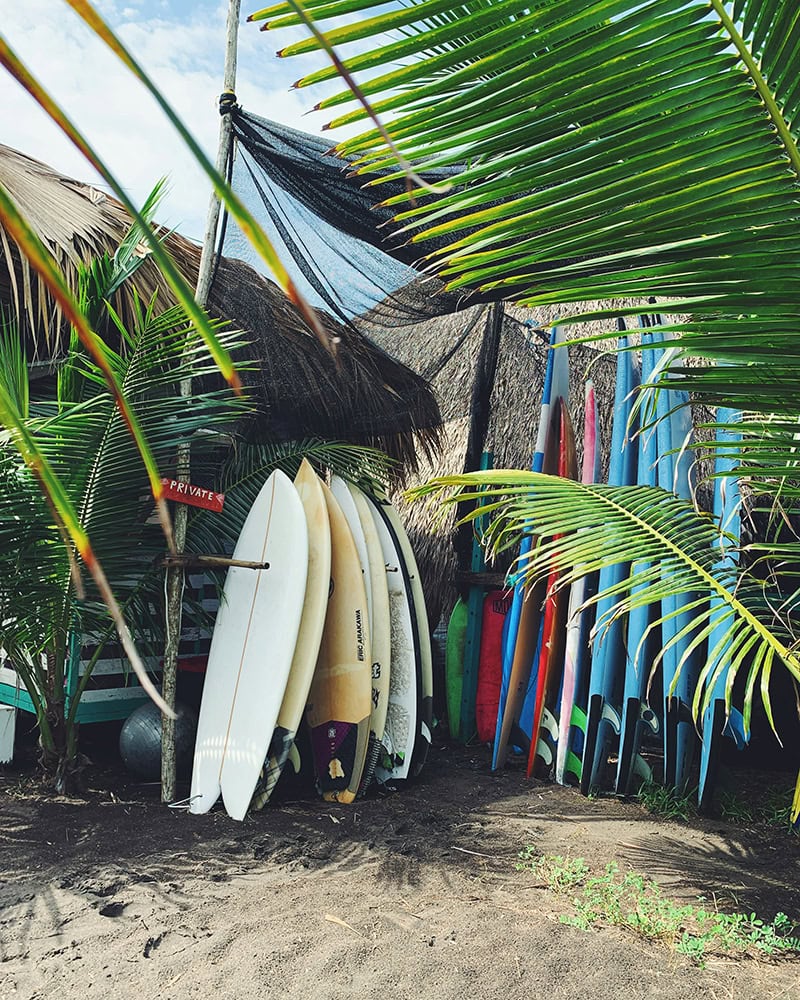 A surf shack on the sandy beach displays colorful surfboards and hand-painted wooden signs, surrounded by palm trees under a clear sky.