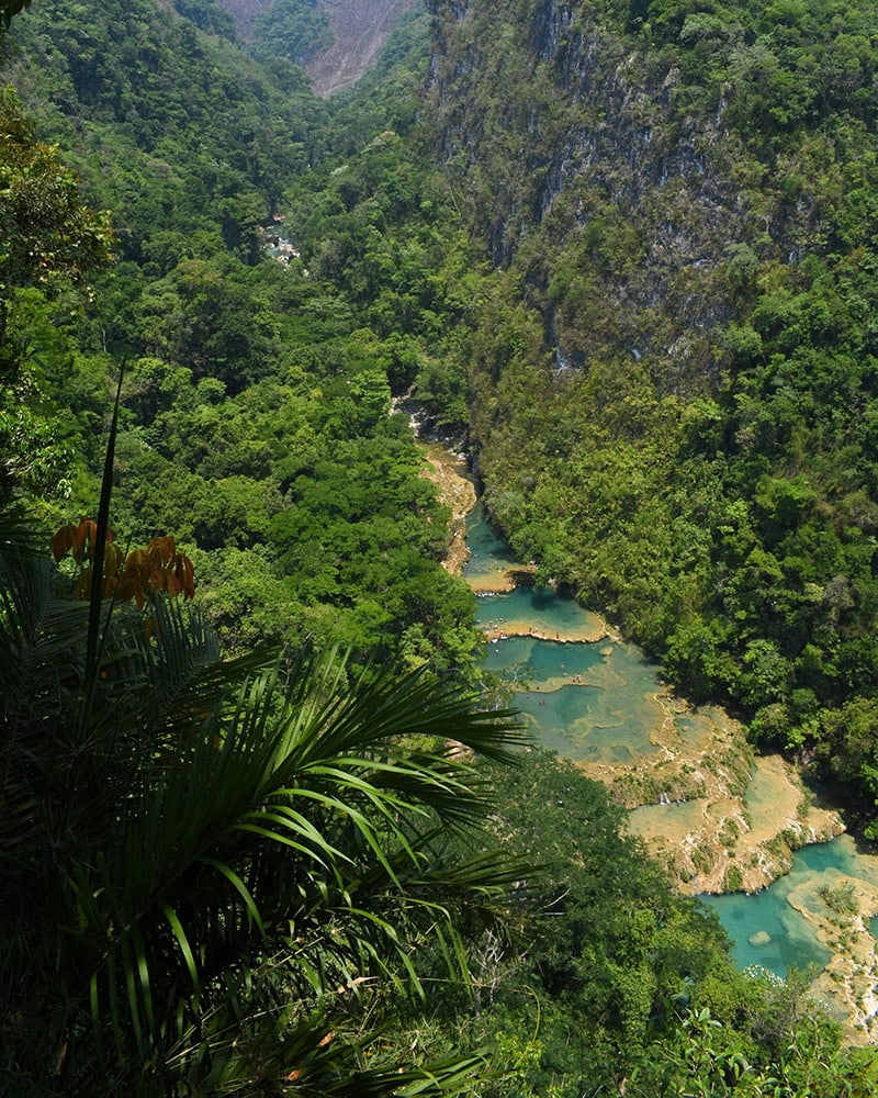 A view from above of lush green jungle and turquoise tiered pools of water in a river valley. Semuc Champey