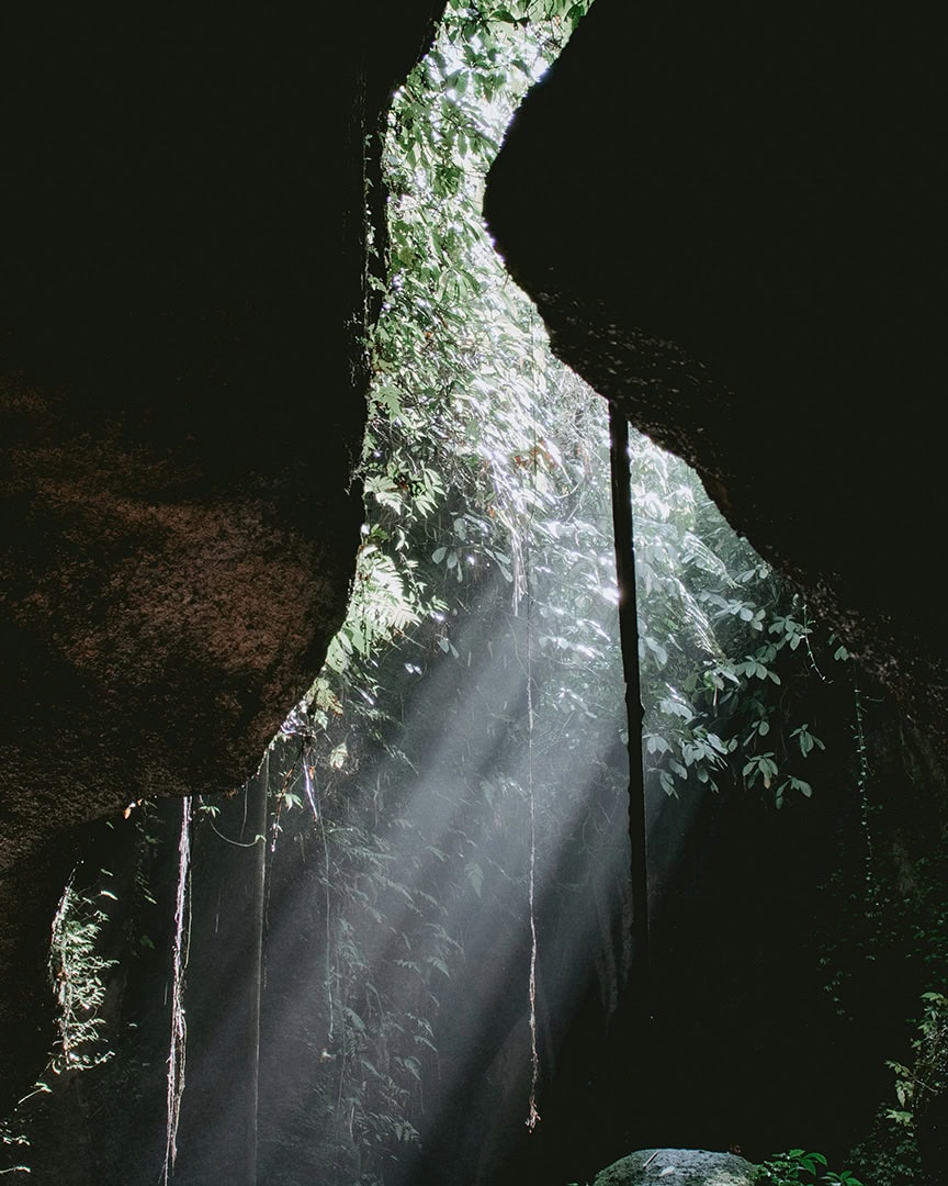 Sunbeams stream through a narrow canyon opening, illuminating hanging vines and leaves against the dark rock walls.