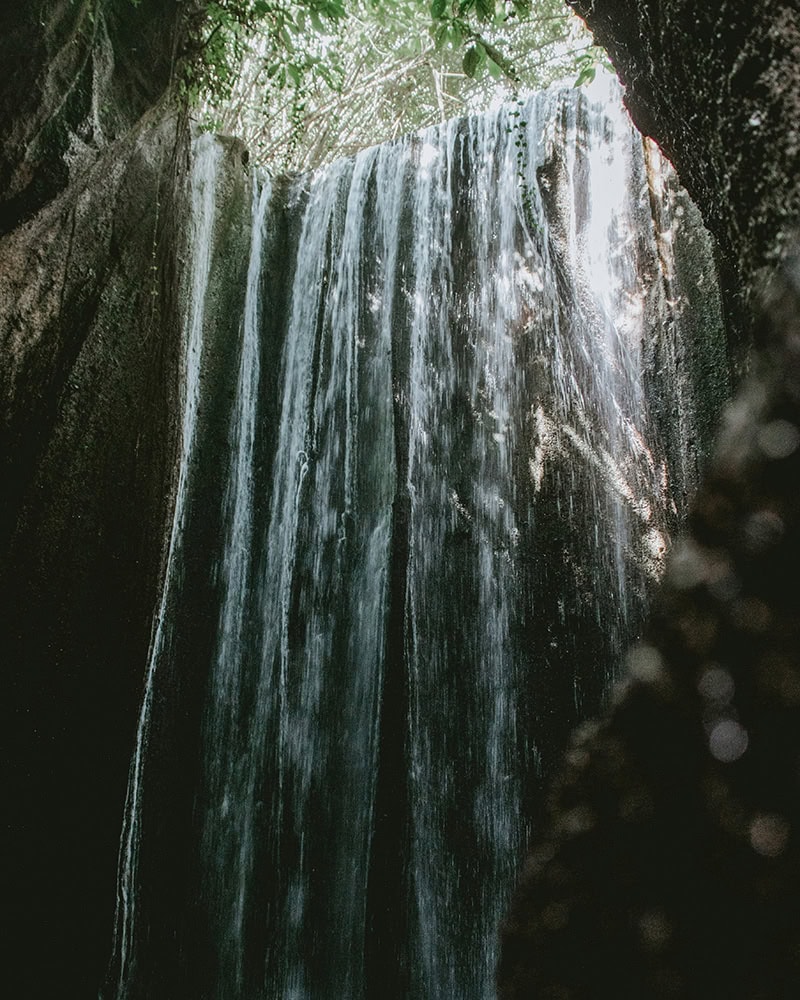 Water cascades down a narrow cliffside, with sunlight peeking through leaves at the top of the frame.