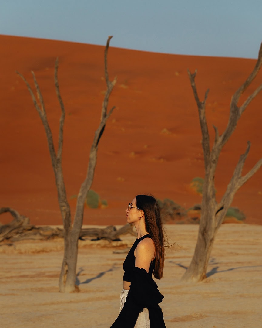 Namibia Road Trip Cost 2026: How Much We Really Spent