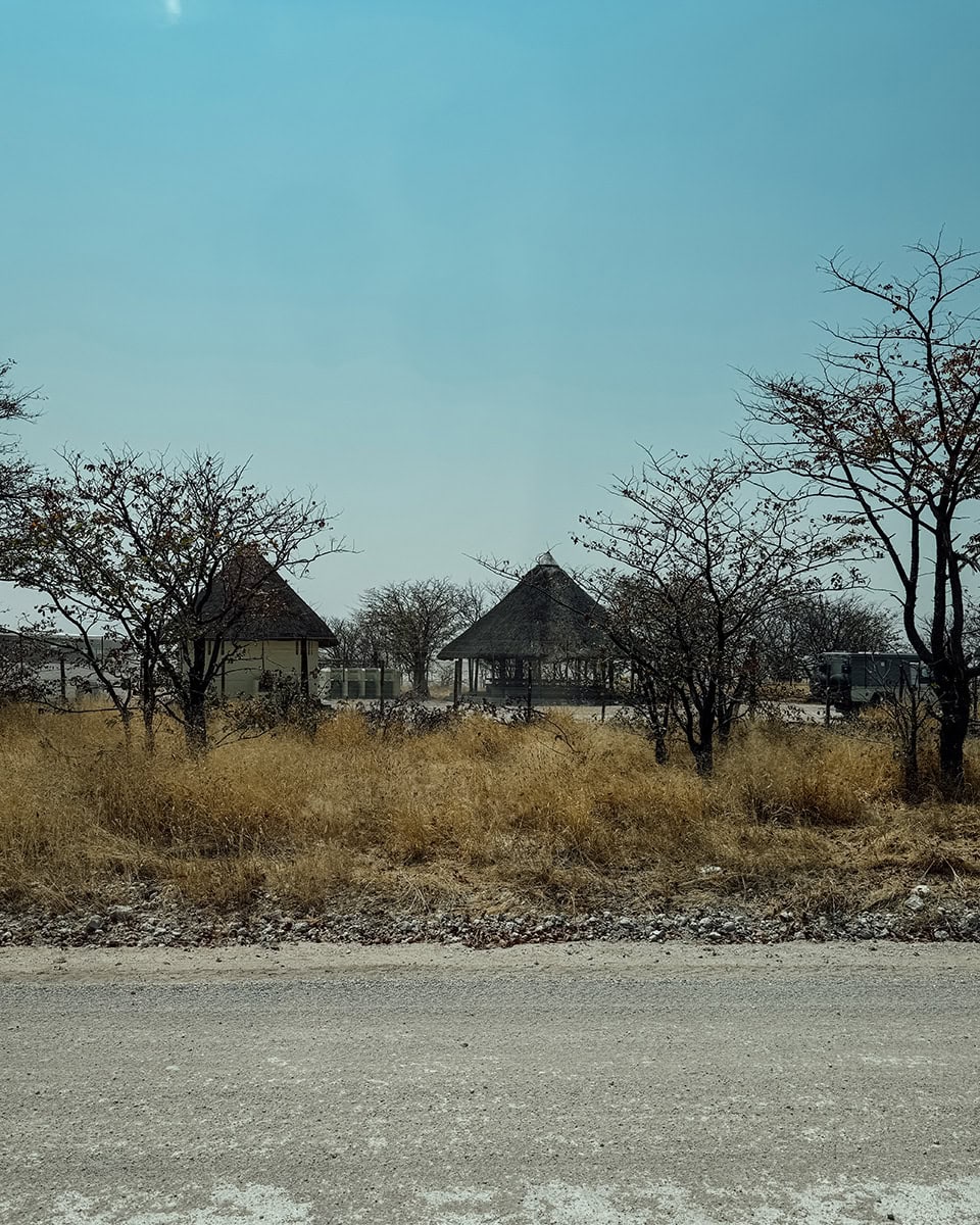 Thatched roof buildings sit behind a fence and dry grass and scattered trees near a roadside.