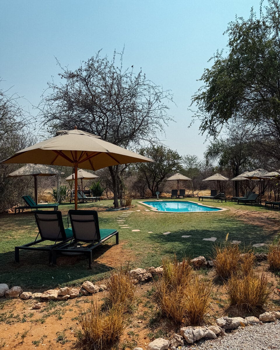 Sun loungers and parasols around the swimming pool at Onguma Tamboti campsite near Etosha